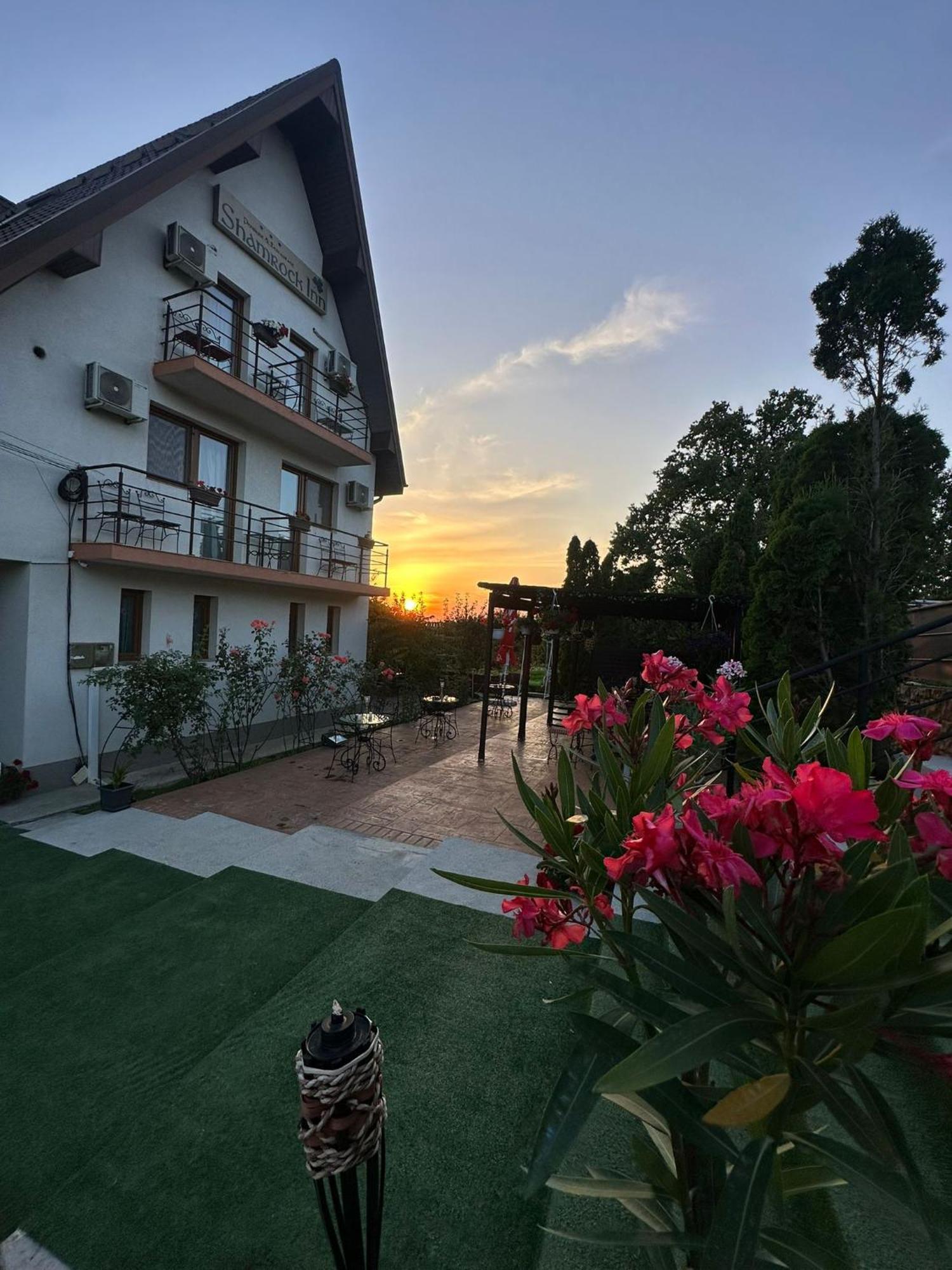 Shamrock Inn 이아시 외부 사진