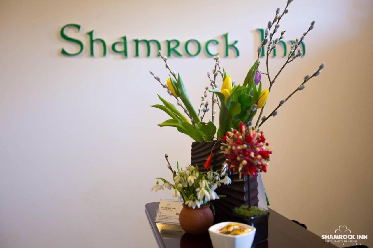 Shamrock Inn 이아시 외부 사진